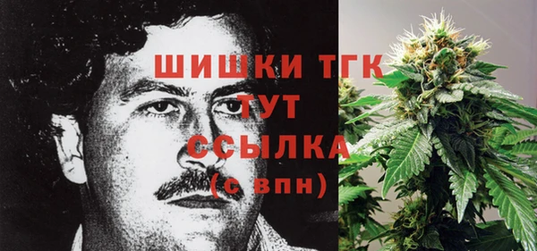 гидропоника Каменногорск