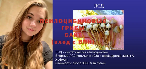 mix Каменка